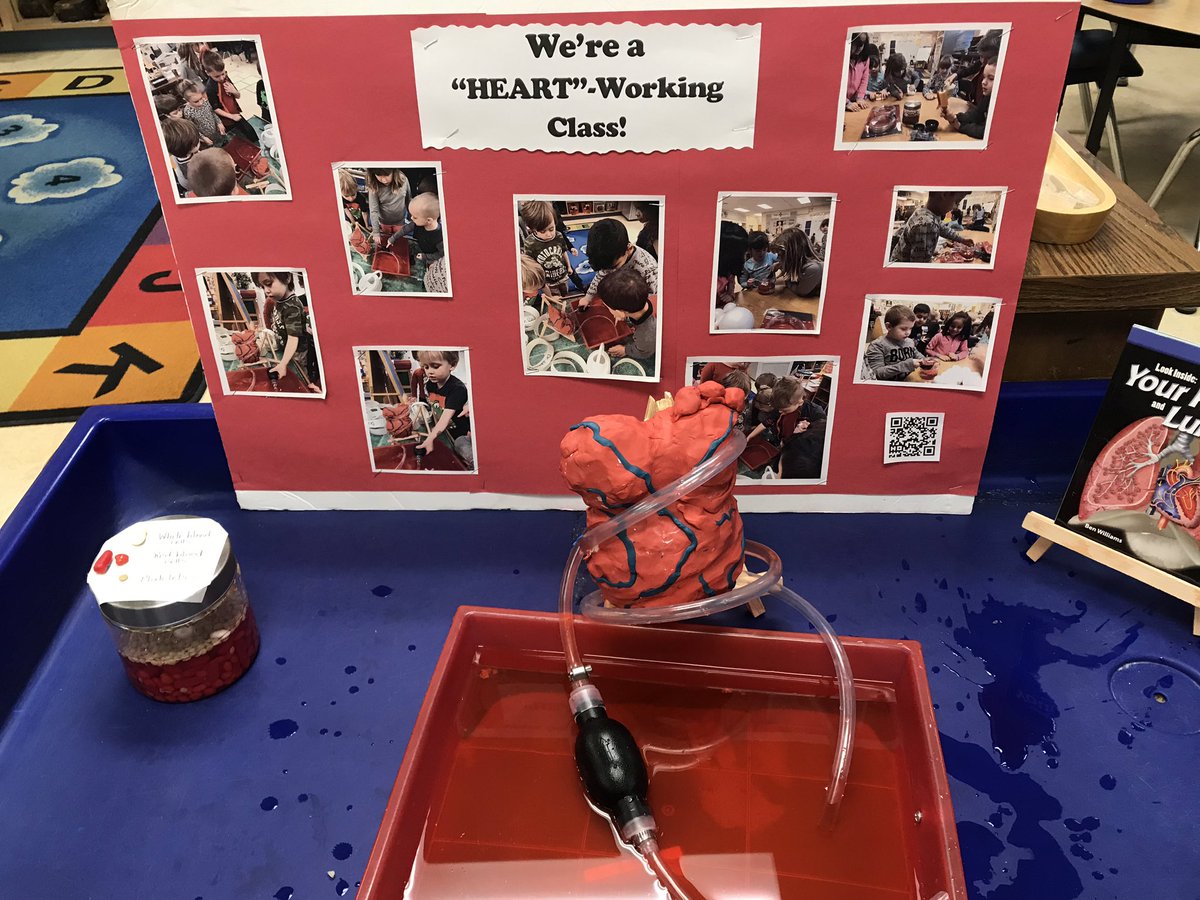 CityFalcons's tweet photo. Our mini falcons got a great sneak peak into what life is like in an EY room at Ford City.  They didn’t want to leave and we loved it! #bestplacetobe #happyplace #newfalcons https://t.co/fmF3ioxr8x