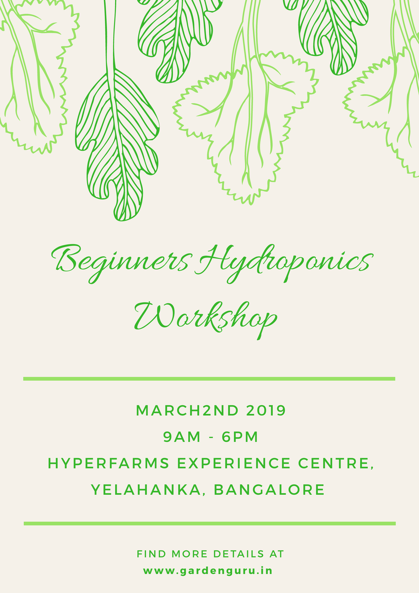 hyperfarms's tweet photo. #learnhydroponics #hydroponicstraining #growonurown #organicveggies #onedayworkshop #hyperfarmsexperiencecenter #joyofgrowing #freshveggies #healthyfood #veganfood #healthyeating #hydroponics #hydroponicsIndia #hydroponics101 #urbanfarm #instafarm #gardenguru #urbanfarmer https://t.co/dyQiU8n8fR