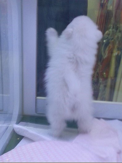 김재환 작고 소중해...(씹덕사