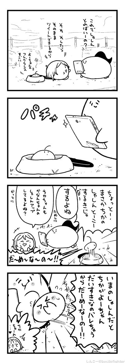 しゃしんつきついーとをしようとするまちゅうら 
