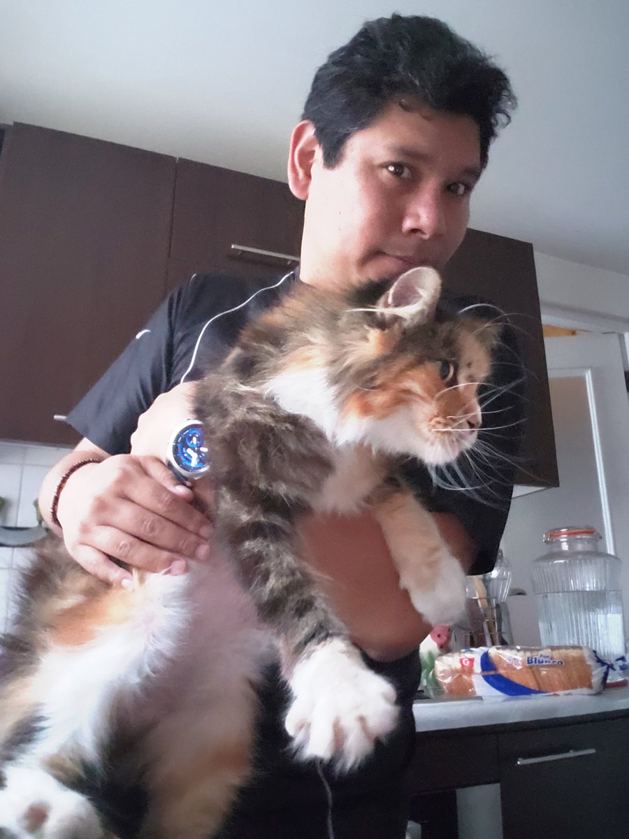 felconecta's tweet image. #DiaInternacionalDelGato