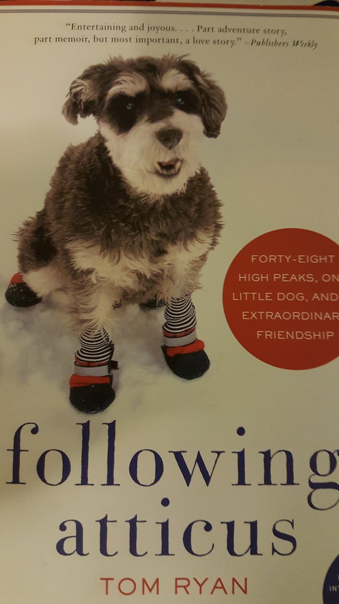 Katie Palma tweet media