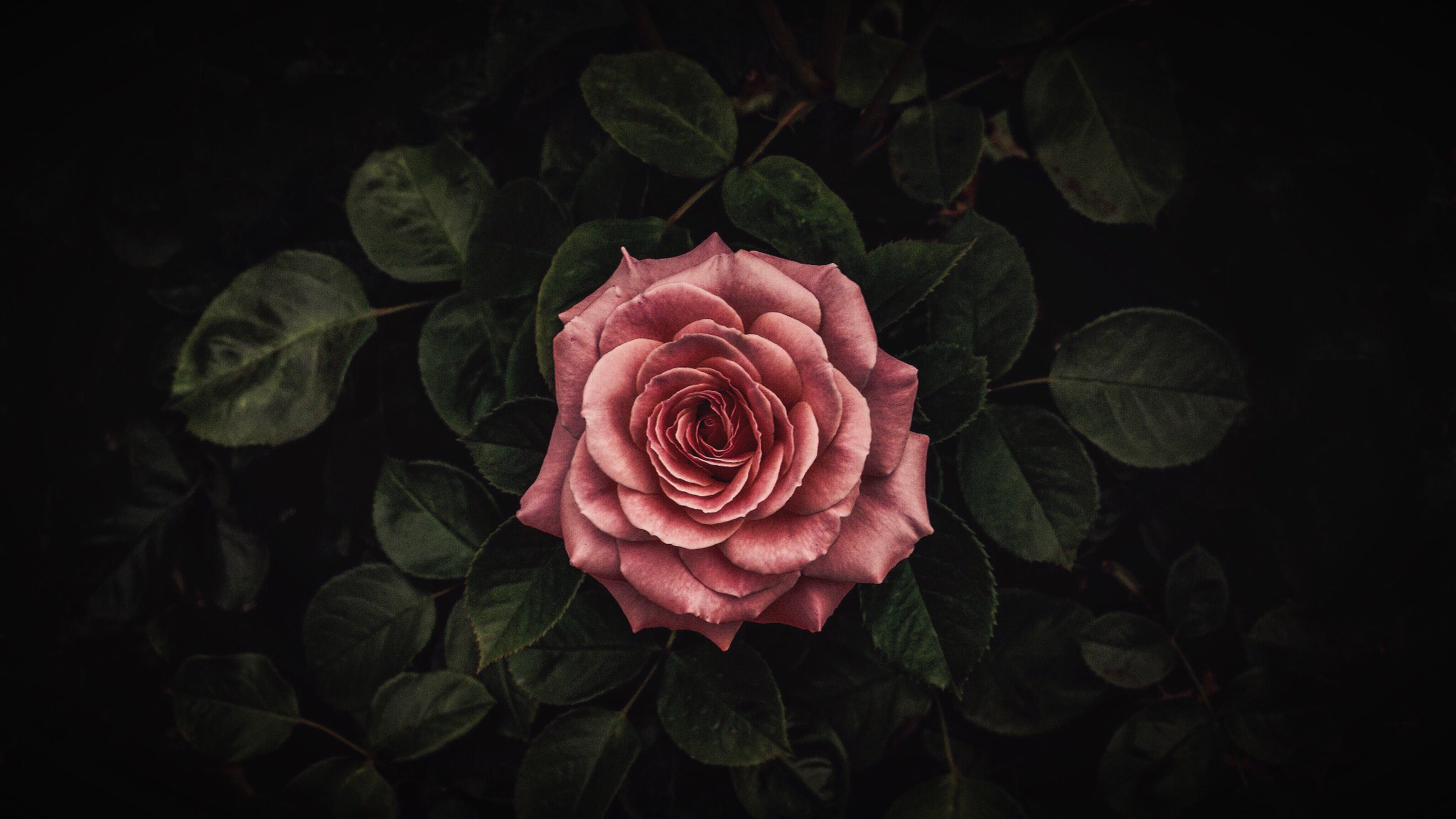 73 (73__photo) / Twitter