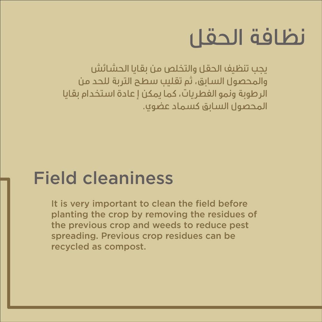 ADFSC's tweet photo. عزيزي المزارع، هنالك بعض الخطوات التي يجب أن تقوم بها قبل البدء بعملية الزراعة، لنتعرف عليها.
#خدمات_المزارعين #نصيحة_زراعية #abudhabi #أبوظبي #الزراعة https://t.co/nweFd026ov