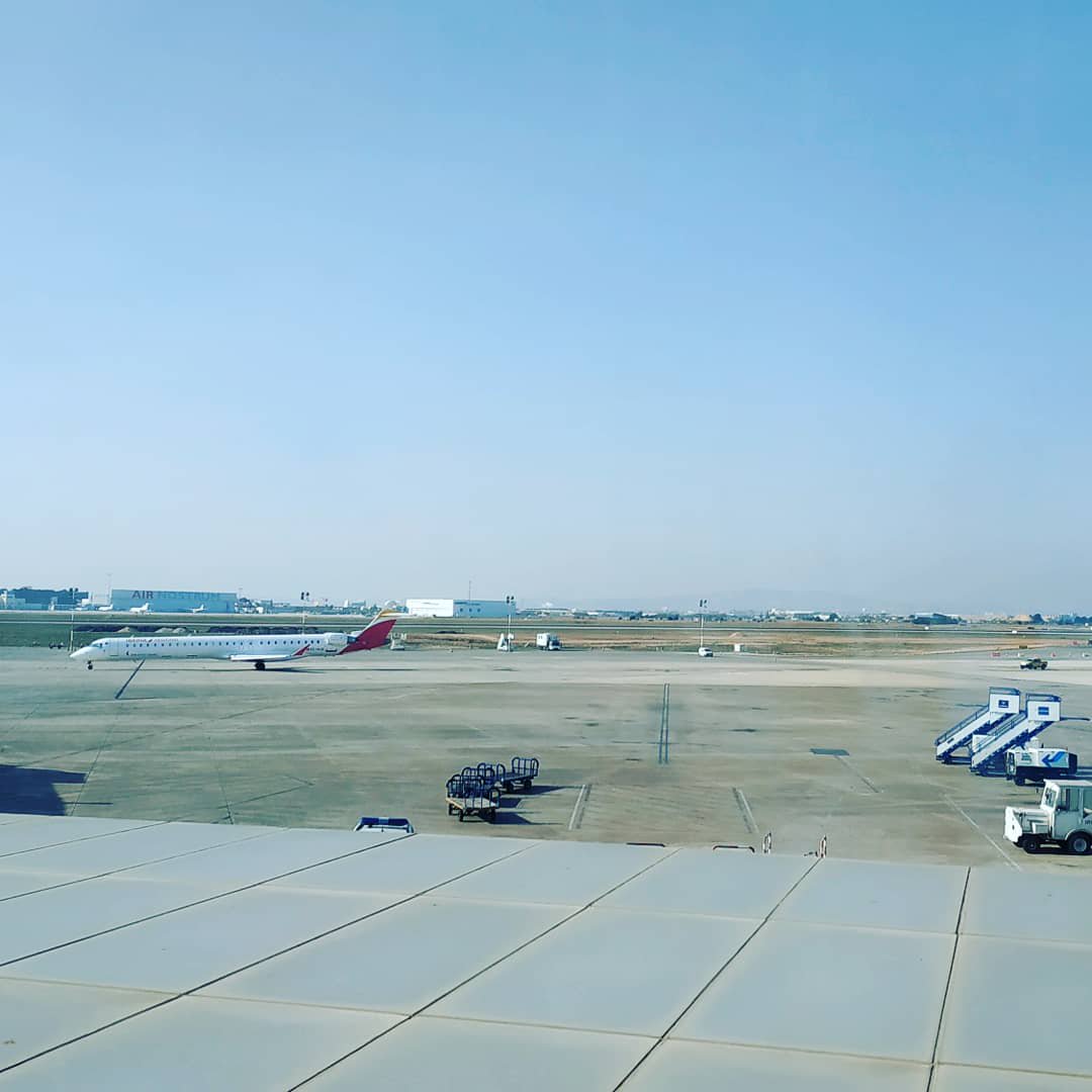 Reina_Mayla's tweet image. Road to Lisbon!! A new adventure starts, there I go!! ✈️🌏💪🏼💙
#EmbeddedReporter #RecursionPrime #DarsanaPrime #Lisbon #Ingress