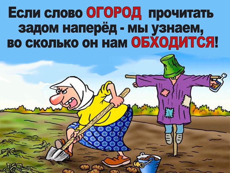 Открытки с огородом прикольные