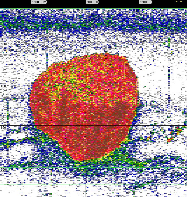 Anna Belcher (@oceans_anna) on Twitter photo <a href="/BAS_News/">British Antarctic Survey 🐧</a> <a href="/NOCnews/">National Oceanography Centre</a> <a href="/PlymouthMarine/">Plymouth Marine Lab</a> check out our new paper in <a href="/NatureComms/">Nature Communications</a> on how krill poo in #SouthernOcean, #Antarctica is important for removing carbon dioxide from our atmosphere!
nature.com/articles/s4146…
#Krill poo, what a great #ThursdayThoughts <a href="/BAS_News/">British Antarctic Survey 🐧</a> <a href="/NOCnews/">National Oceanography Centre</a> <a href="/PlymouthMarine/">Plymouth Marine Lab</a> check out our new paper in <a href="/NatureComms/">Nature Communications</a> on how krill poo in #SouthernOcean, #Antarctica is important for removing carbon dioxide from our atmosphere!
nature.com/articles/s4146…
#Krill poo, what a great #ThursdayThoughts