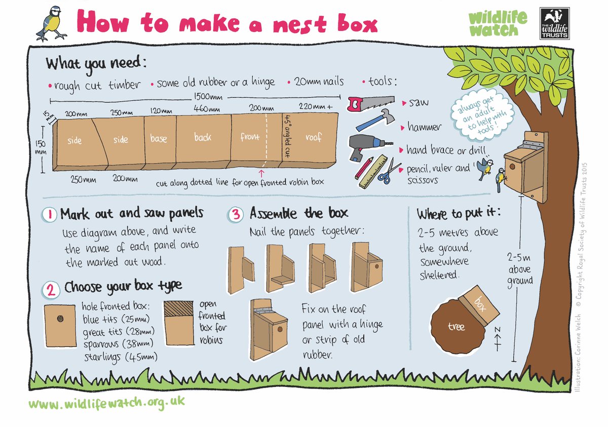 Make your own nest box for your feathered friends! A great way to get involved with <a href="/_BTO/">BTO</a>  #NationalNestBoxWeek #Birds 
via <a href="/wildlifewatch/">Where to Watch Wildlife</a>