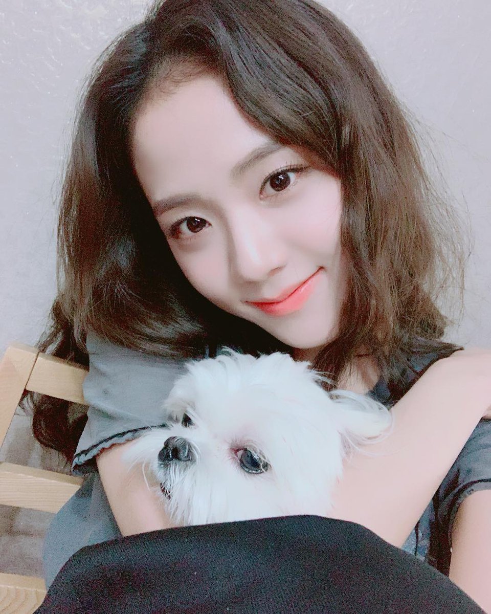 🐰JISOOHOME_TH🐢 tweet media