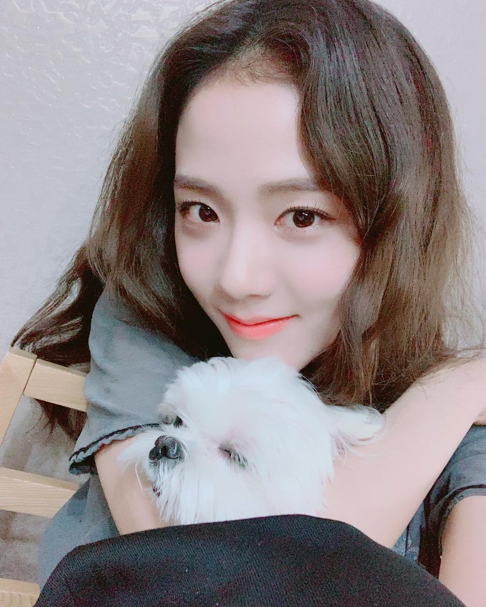🐰JISOOHOME_TH🐢 tweet media
