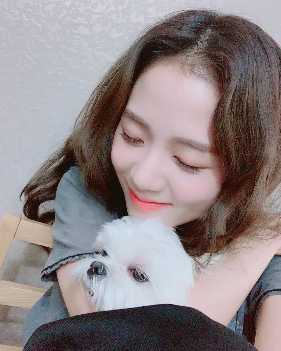 🐰JISOOHOME_TH🐢 tweet media