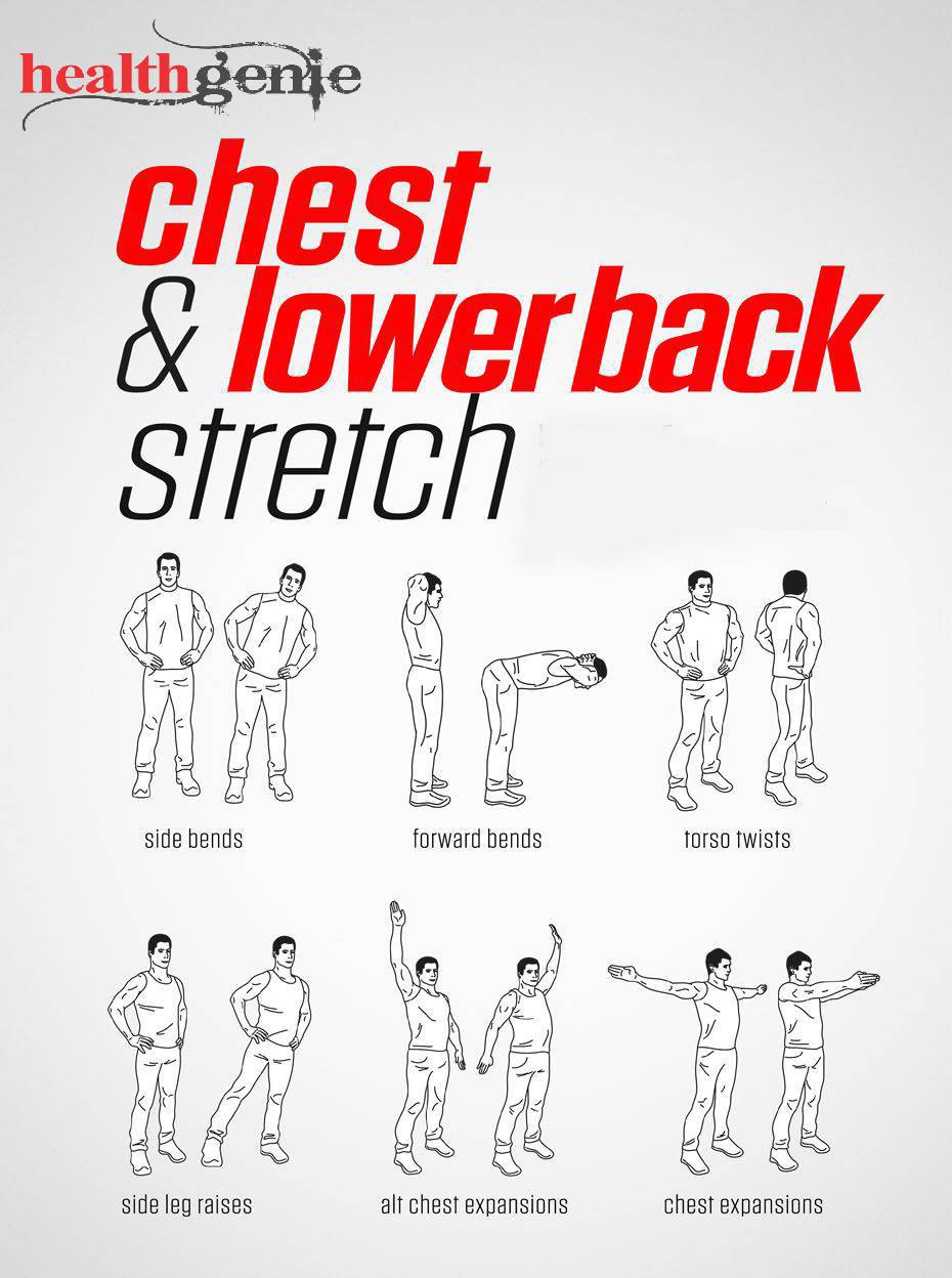 Chest & Back Workout  Chest and back workout, Chest workout for