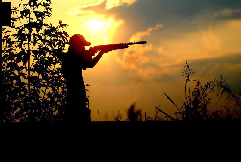 We are eating large wild #animals into #extinction!
Even if providing #food and #medicine are crucial needs of humankind but the investigators found that 70% of the species are in decline and 59% face extinction. Take care!
#environmentalist 
<a href="/Ecoarun/">EFI Green Gramam</a> <a href="/EcoPeaceME/">EcoPeace Middle East</a> <a href="/Ryan_Riddle/">Ryan Riddle</a>