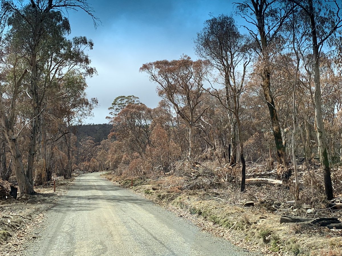 Shivering through today it seemed hard to imagine this place was ablaze earlier this month. Fire damage nowhere near as bad as expected #EucGen19
