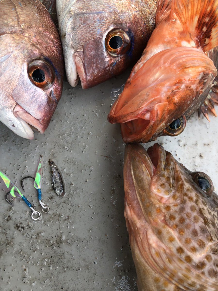 GearLab_jp's tweet photo. 海の中には想像以上に小さなベイトが沢山🐟🐟🐟 魚がハリの喰う
バイトマーカー
魔法の偏向フィルム
#ポラジックフィルム
でショートバイトを取るフックシステムが特徴です🌅
マイクロベイトを制す❗️❗️
#マイクロフリップ
イイネ👌してね🤩
#gearlab #ギアラボ
#microflip
#釣り #fishing
#魚 https://t.co/bugphIlSRW