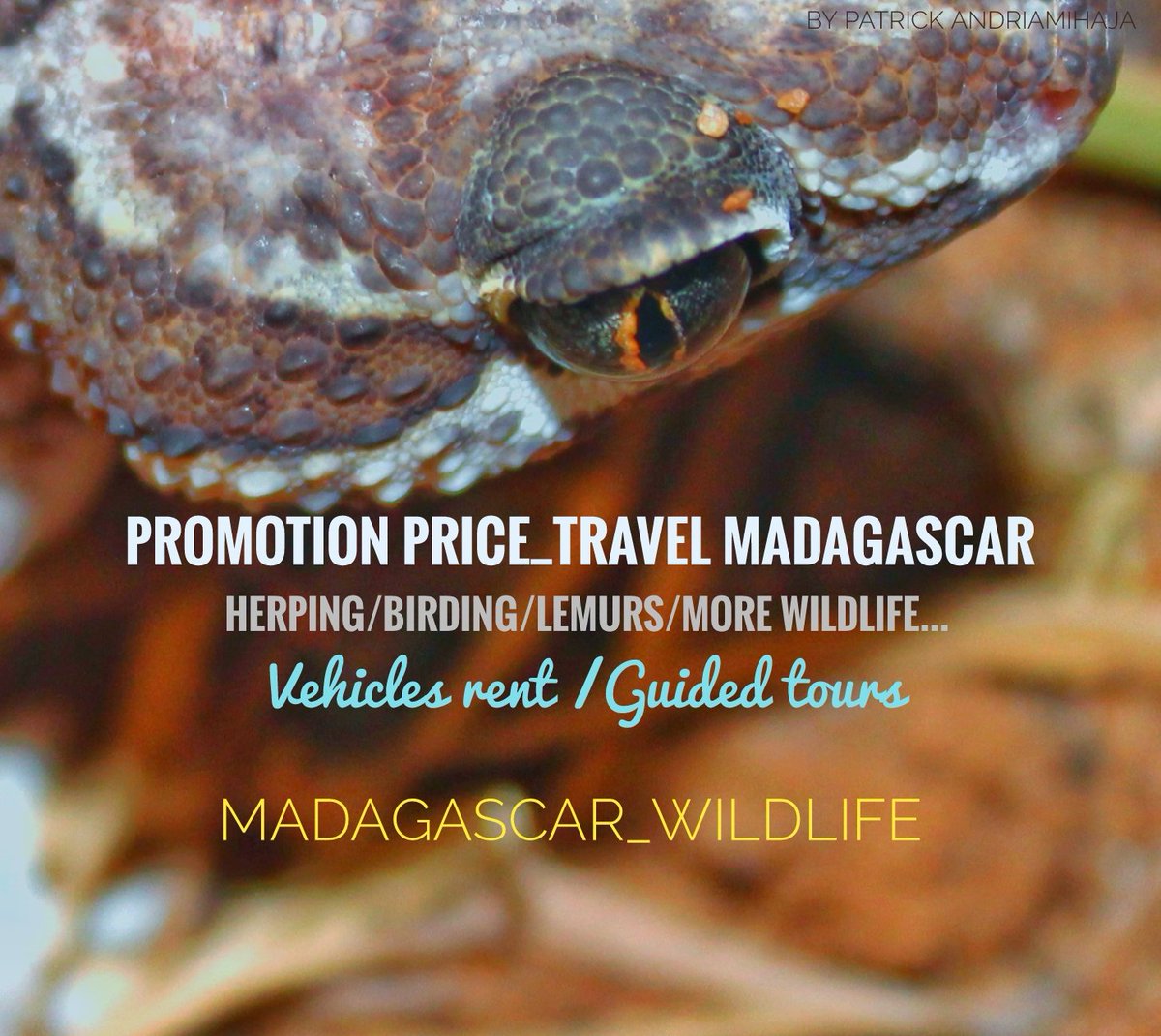 #traveltoMadagascar
#promotionprice_travelMadagascar #VehiclesRentMadagascar
#Hotelbooking_Madagascar
#Guidedtours_Madagascar
🇲🇬 #Madagascar_wildlife
#Local_freelance_GuideMadagascar #National_GuideMadagascar
#Official_GuideMadagascar
#byPatrickAndriamihaja