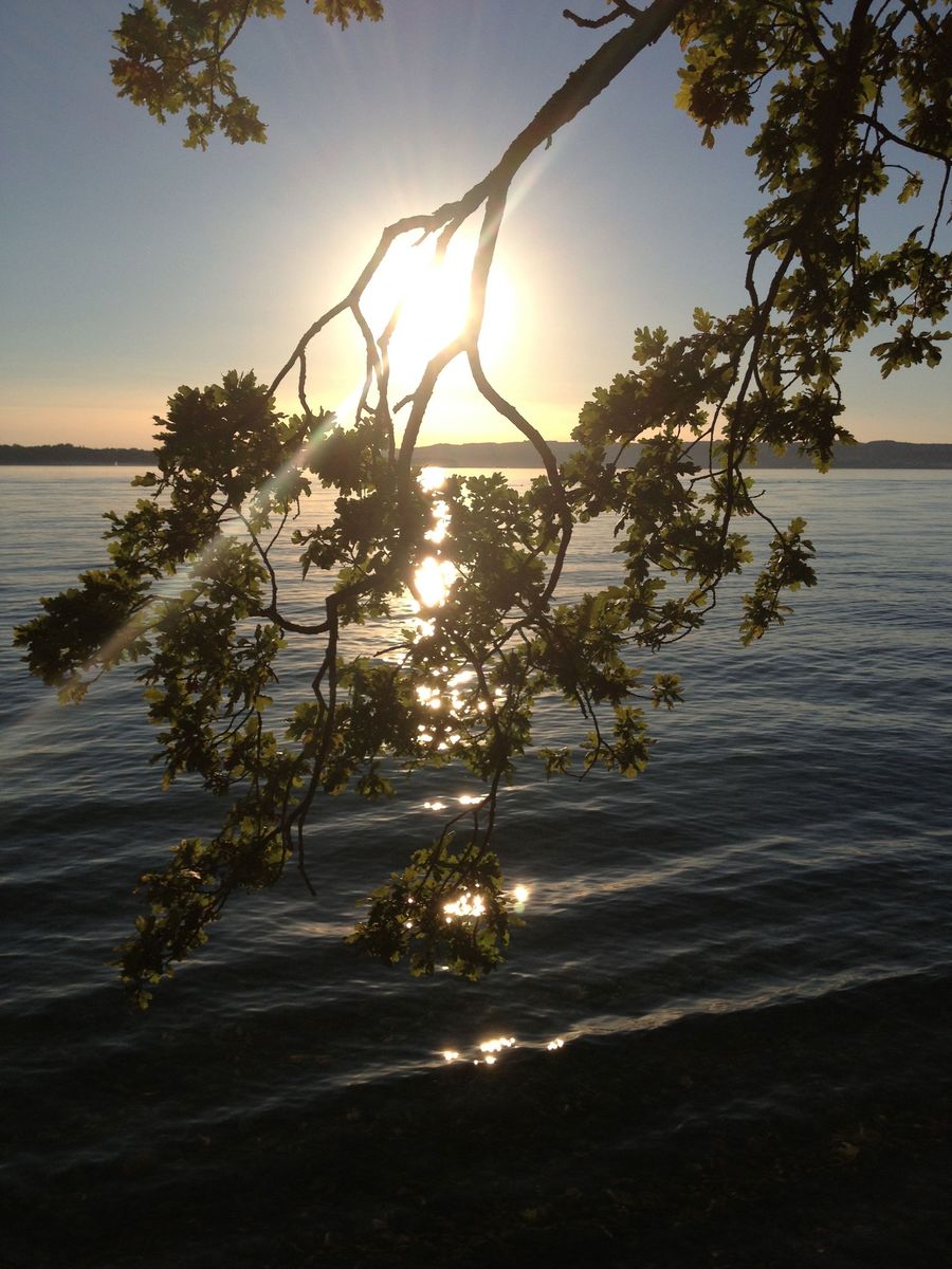 LightLifeTools's tweet image. #Wasser - das Element des Lebens - hat so viele verschiedene Formen... So sind sich viele Menschen sicher, dass es auch Informationen - zum Beispiel durch das #Energetisieren - speichern kann und diese in Form von positiver #Energie an den Menschen abgibt.