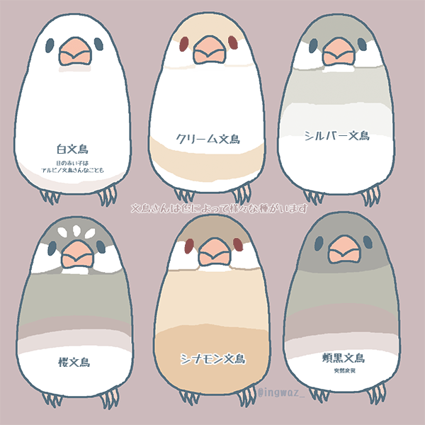 #私の絵柄が性癖に刺さる人に届いてほしい
文鳥さんまんがなど描いてます。 