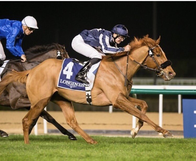 ANOTHER BATT runs @MeydanRacing today in the 3.05pm (UK time), 6f, $135,000 Handicap, @Connorbeasley94 rides for trainer @georgeoscott . BATT remains in great form, hoping for a good run! 🤞🏻🦇