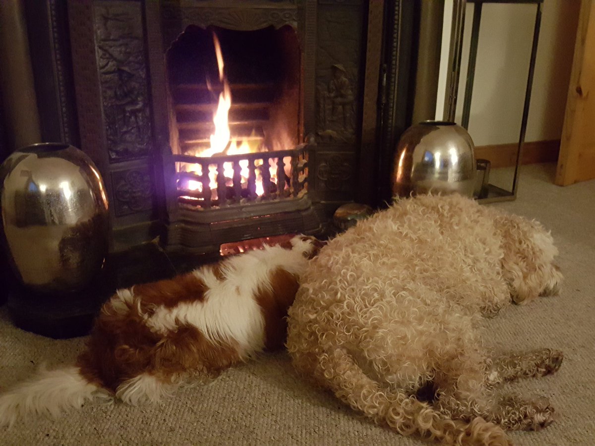 hugh trayer tweet media