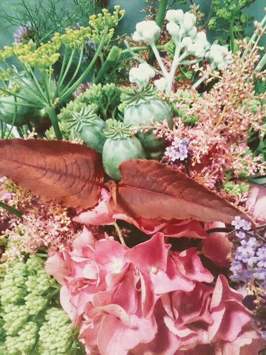 WhiteDoveLMK's tweet photo. #ILikeItWhen all the flowers for a wedding bouquet come from my own garden #growninlimerick #irishflowers #gardengatheredstyle https://t.co/IkpOLK8F9Y