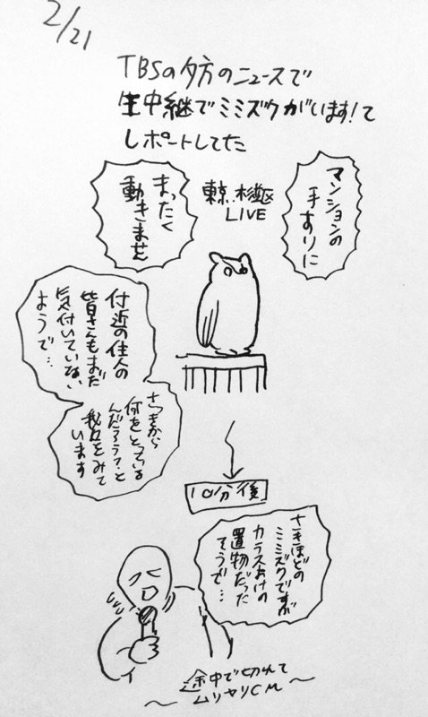 ミミズクそんなことある？ 