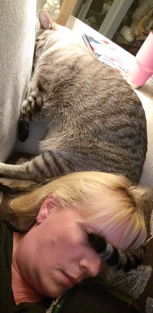 TanyaPuls's tweet photo. Vacation was great, but there's no place like home! Plus, I think someone really missed me... ❤❤

#kitty #catsarethebest #CatsOfTwitter #home #noplacelikehome @BBlogRT @LovingBlogs https://t.co/C1XboUMTj1