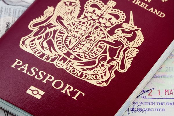 Holiday Watchdog tweet media