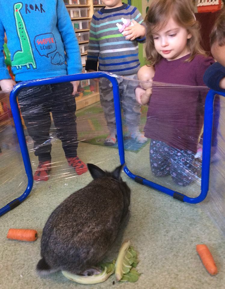 We had so much fun celebrating #LoveYourPetDay yesterday! our children got to meet Thumper the rabbit and Bertie the dog. #rabbit #dogsoftwitter