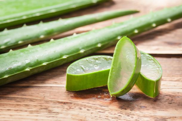 Marketexpertz's tweet photo. Cosmetics Grade Aloe Extract Market witnessing Huge Growth By 2026
Read More@ https://t.co/15dW6pQ8Fx
Key Players(Aloecorp, Foodchem International, Aloe Farms, Terry Laboratories, Natural Aloe Costa Rica, Pharmachem Laboratories, Aloe Laboratories)
@arubaaloe @PharmachemLabs https://t.co/9vgrp6WZMl