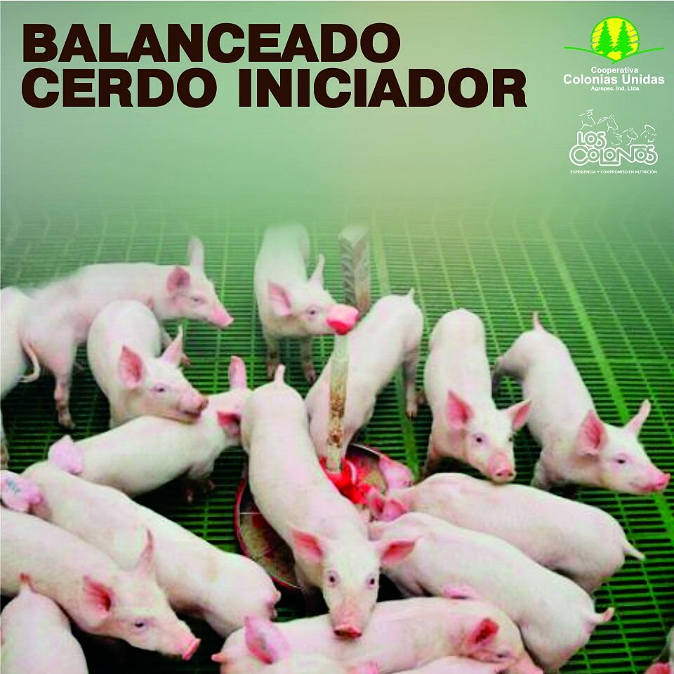 Referencia