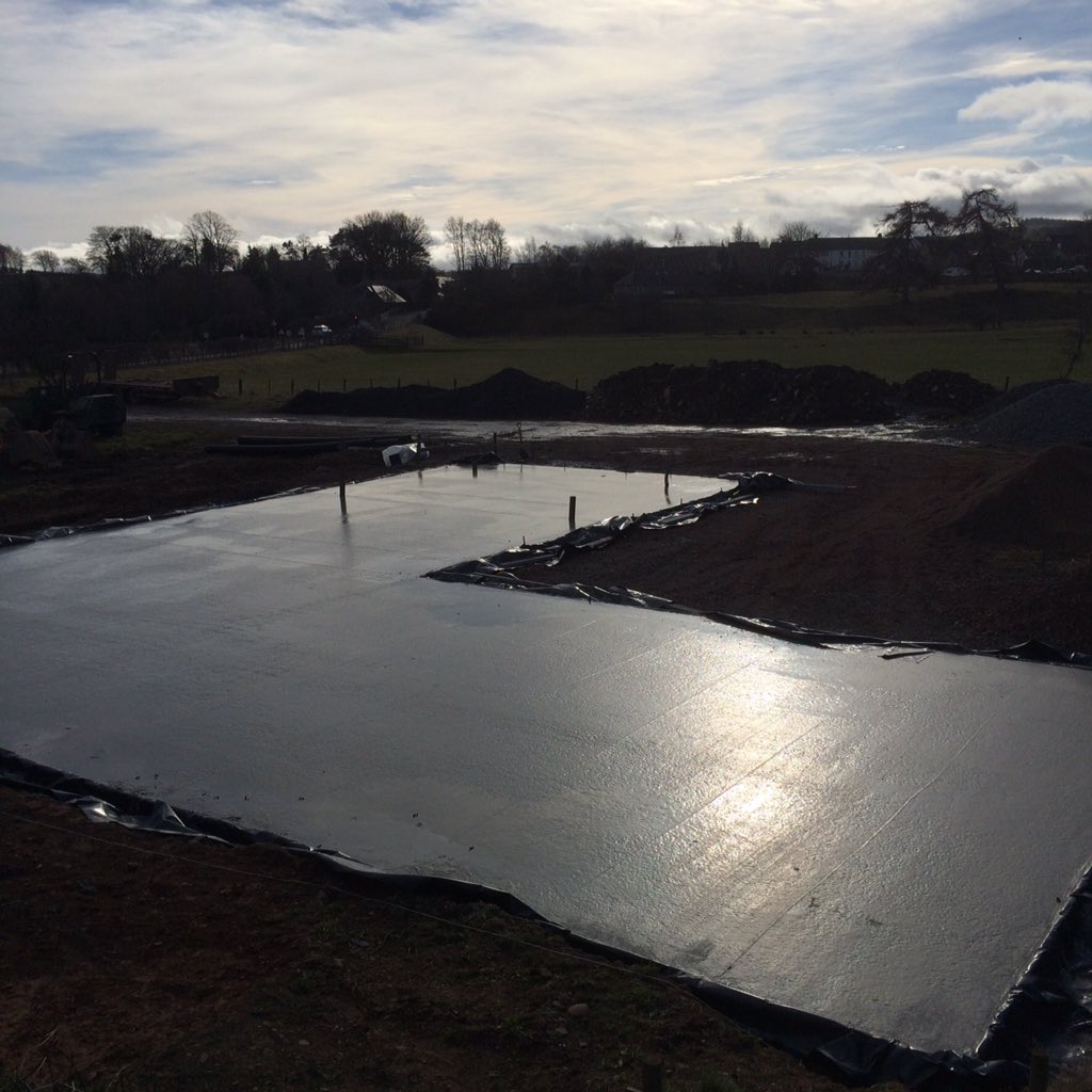 BirdGardensScotland tweet media