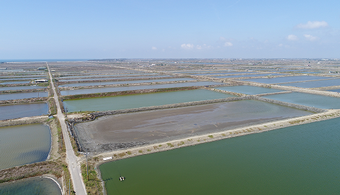 PaintSquareApp's tweet photo. Read Interesting News: Researchers Develop New Fire-Retardant Coating / Google Announces Solar Project in Taiwan. Read more in our #PaintSquareApp News https://t.co/oJnijcSdcM  English/Español. #research #coatings #flameretardants #texas #solar #google #solarenergy #photovoltaics https://t.co/JlSszNPjzs