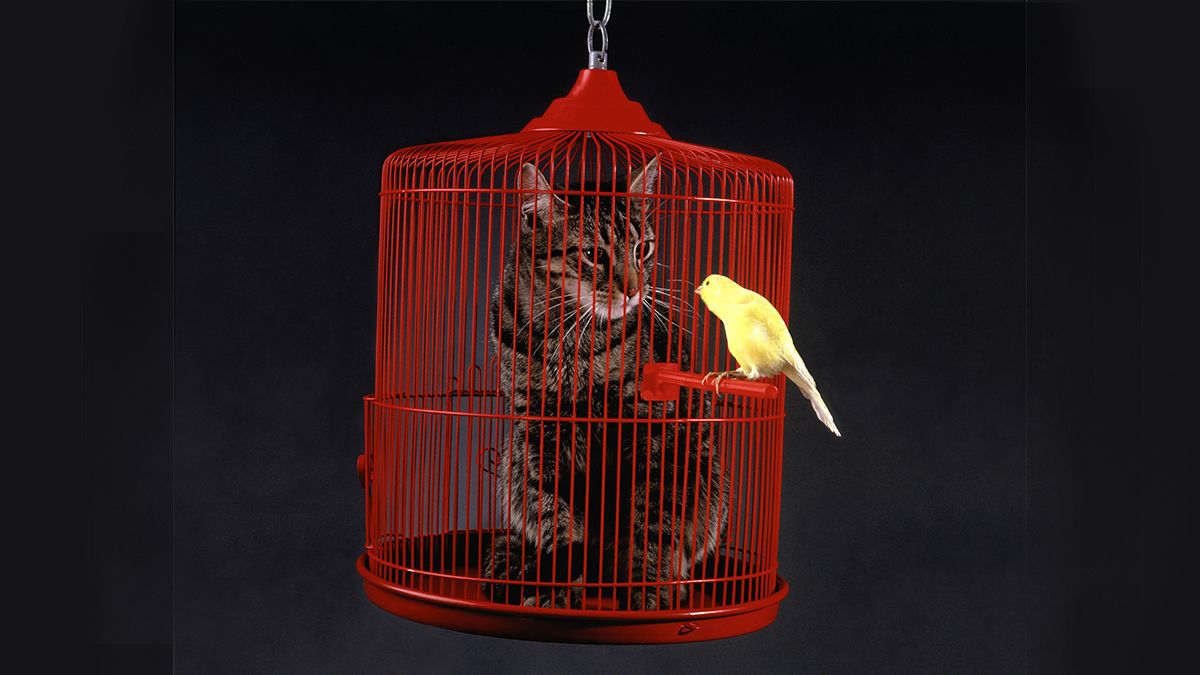 rachelfeferman's tweet image. How to Figure Out How Much Influence You Have at Work buff.ly/2SaslD0