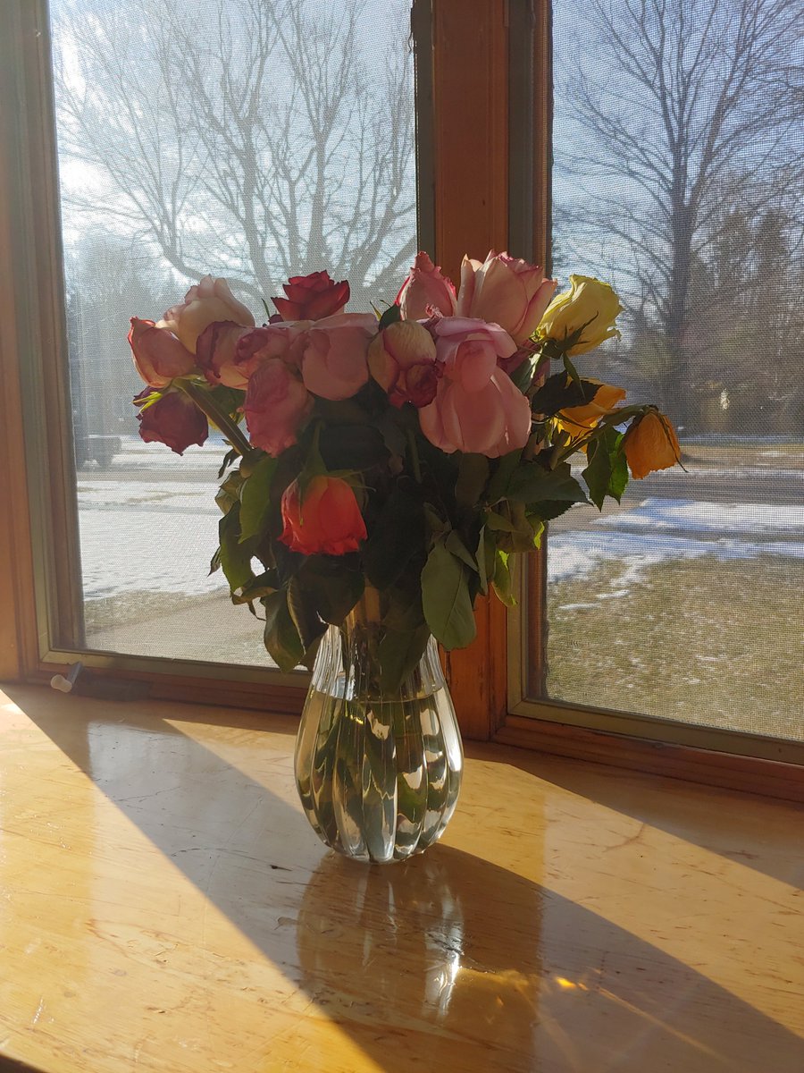 FosterTara's tweet photo. @1800flowers  thanks for the wilted flowers and horrible customer service! #buyerbeware #nointegrity https://t.co/WJ49x9mkZ6