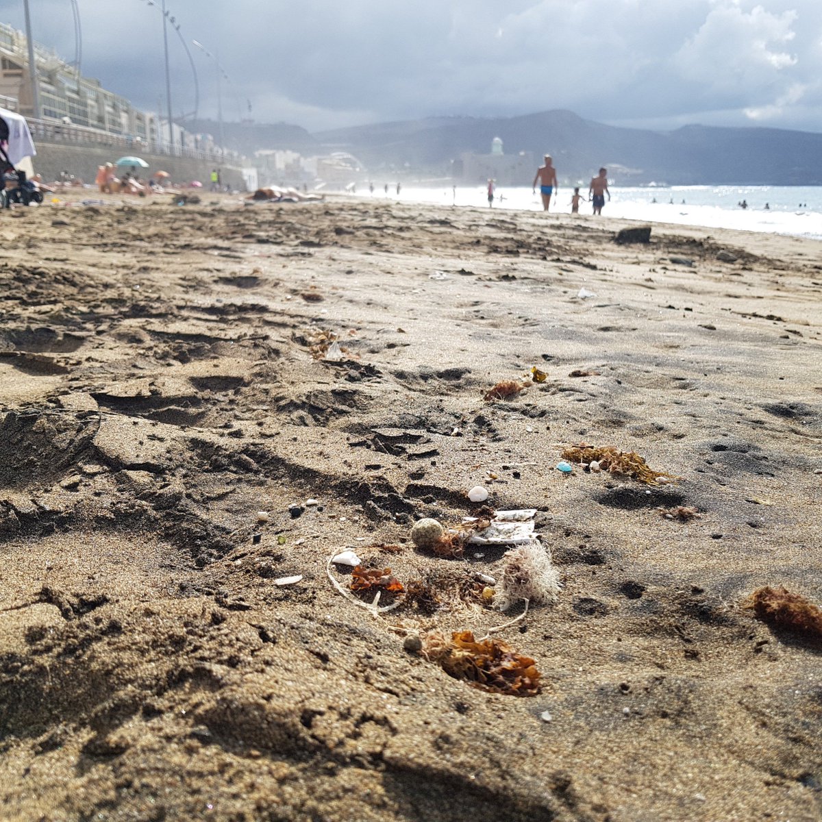 fluyecanarias's tweet photo. Los #microplásticos siguen llegando a nuestras costas, dañando los ecosistemas y provocando la muerte de animales. #NoAlPlastico #CuidaLosMares #MaresLimpios https://t.co/nDqt8ehYOs