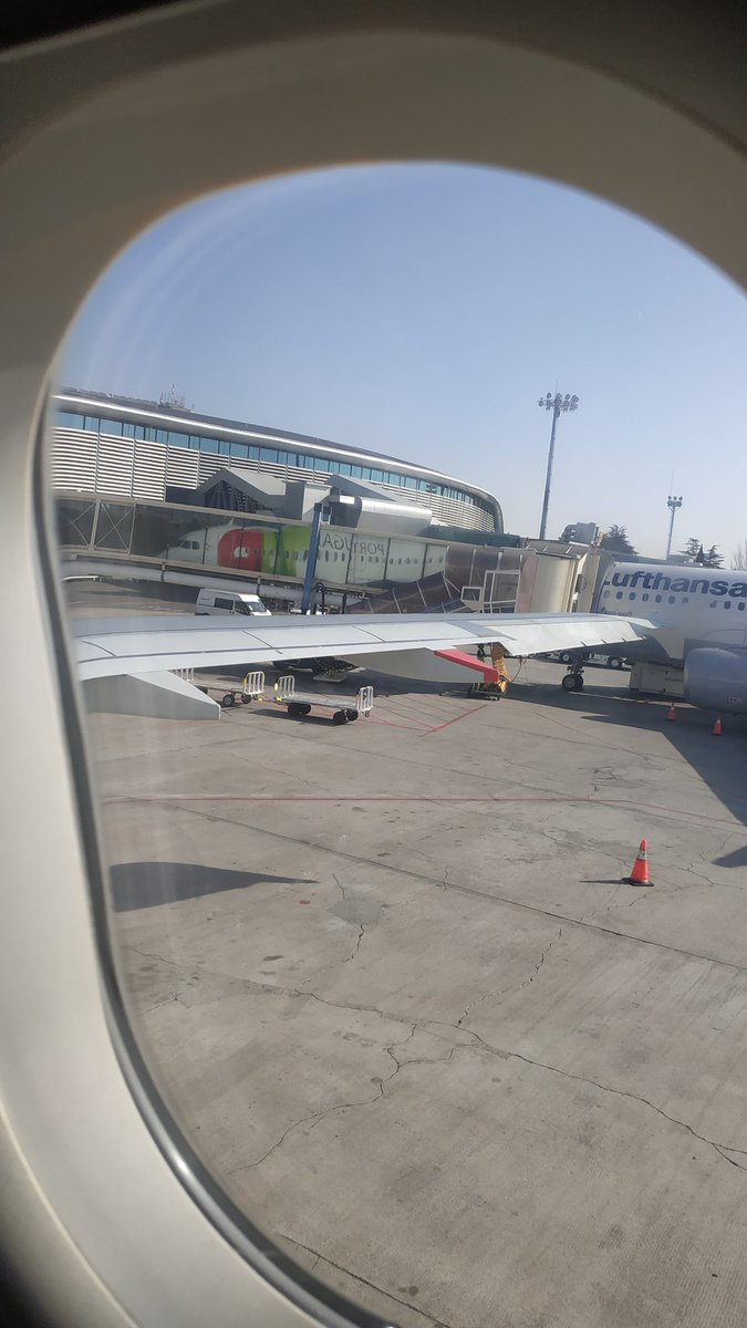 Reina_Mayla's tweet image. On the plane!! ✈️
#EmbeddedReporter #RecursionPrime #DarsanaPrime #XMAnomaly #Lisbon #Ingress