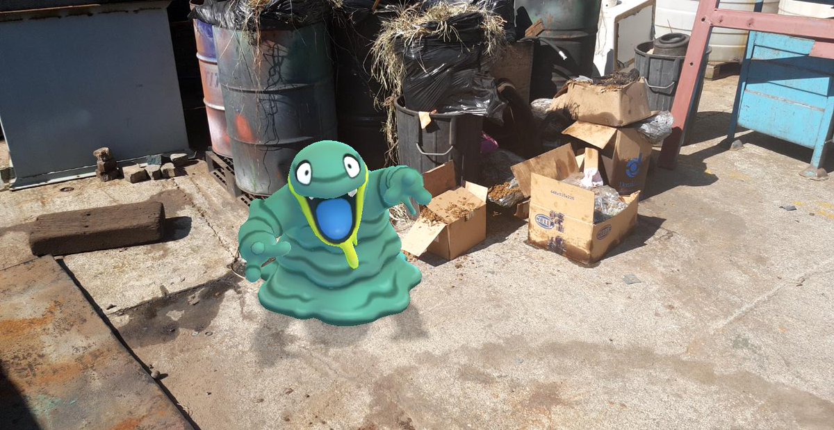 POKEMOUNTAIN's tweet image. #GOsnapshot #PokemonGO #alolangrimer