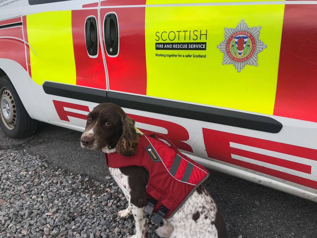 This is me and my floatation jacket – keeps me safe when I’m on the water! 😎#DogJacket 

@SfrsWaterRescue what do you think? 🌊