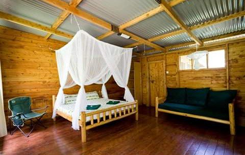 Uganda_Lodges's tweet photo. #BudongoEcolodge
Nature at its best. True comfort in the wilderness
#WorldVisit🇺🇬#UgandaLodges #VisitMFNP #BudongoForestReserve #ChimpTrekking #Habituation #Birding #PrimateLovers #JaneGoodalls #Conservation #WeConnectUg https://t.co/CdWIvn9jkF