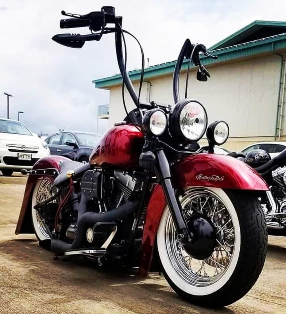 BarcelonaHarley's tweet photo. Comete el mundo 😎

#HarleyDavidson 

#Barcelona https://t.co/ria4HgnQqs