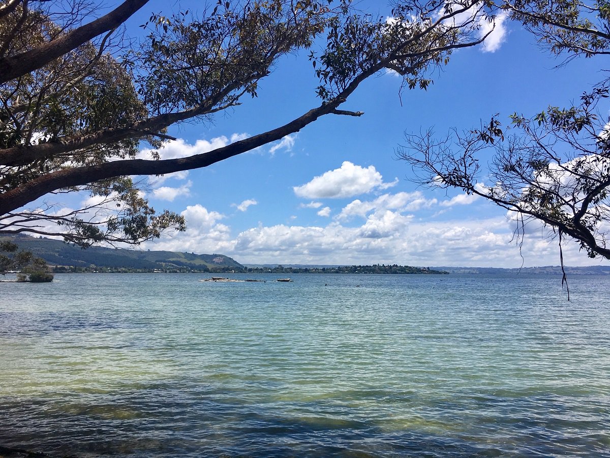 evasionspirit's tweet photo. La "bouillante" ville de #Rotorua, imprégnée par l'histoire et la culture #Maorie, à la spectaculaire activité géothermique. 🇳🇿#JeudiPhoto #NZ #NouvelleZélande #voyage #geyser
➡️ https://t.co/geTGWVS44P https://t.co/zH0UYQpPTT