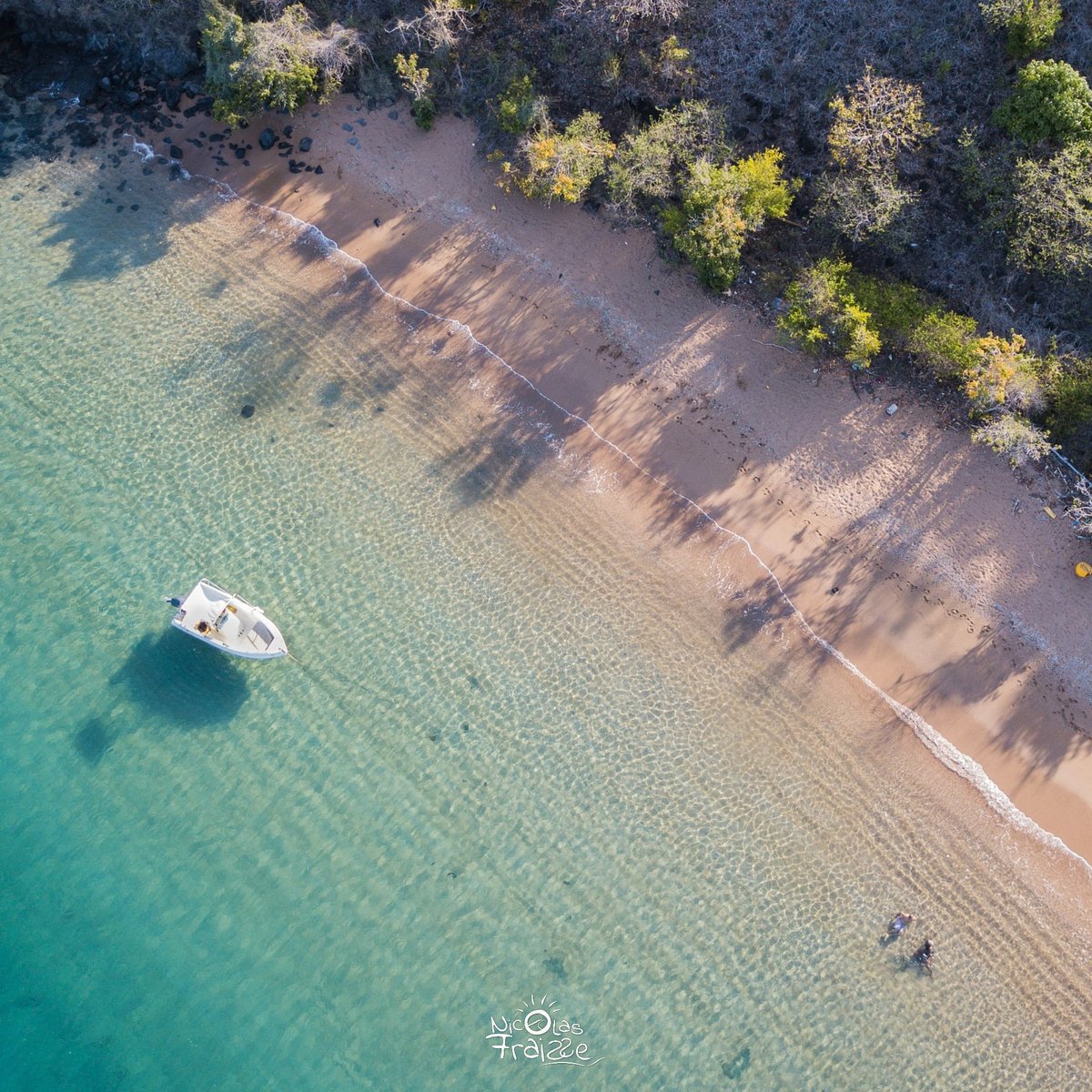 tourismemayotte's tweet photo. On se croirait sur une plage privée.
Sur la pointe nord de Mayotte.
#mayotte #gotomayotte #mayotteisland🌴 #mayottetrisme #landscape #ilovemayotte #plage #lagon #lagoon https://t.co/vHhAyiJ1rj
