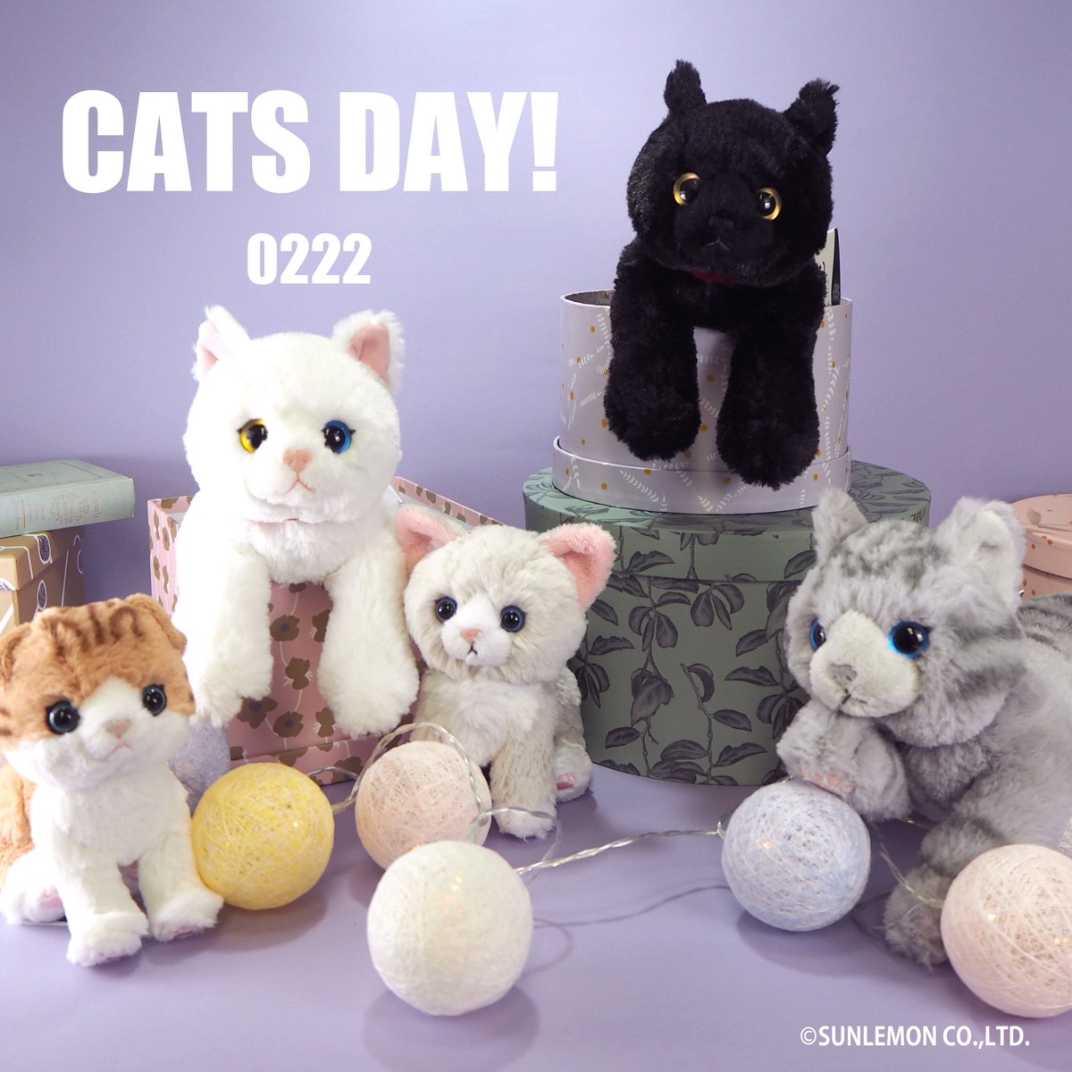 تويتر サンレモン على تويتر 明日は 猫の日 にゃ にゃ にゃ ひざねこ キトン ぬい撮り サンレモン T Co Pv1lz3tuqz