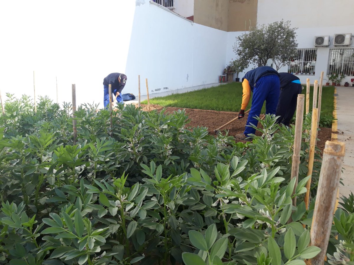 alopezizq's tweet photo. En el centro #Mambre de @ValenciaCaritas estamos preparando la tierra de nuestra huerta para plantar de nuevo #MomentoCaritas #AreaInclusion https://t.co/0qsWrKc6FU