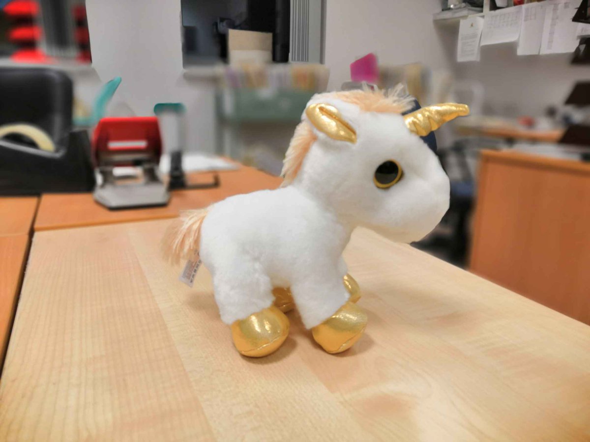 Nothing is impossible for our managers apparently. Not even unicorns.