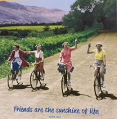 grymill's tweet photo. Comfy saddle fitted -  Let the serious training commence!! Only 13 scary weeks away to the Women v Cancer – Ride the Night London 2019 https://t.co/p9YG3pZoto https://t.co/8Oy0qvpe4X