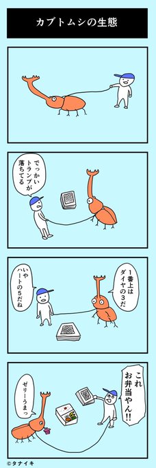 おきにいりの4コマ漫画
『カブトムシの生態』 