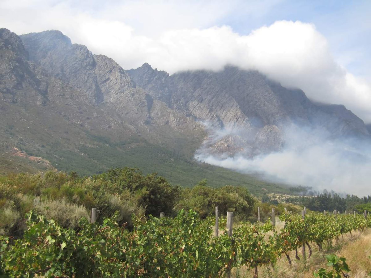wo_fire's tweet photo. Current look at the #FranschhoekFire

📸 Cape Winelands DM https://t.co/5f4LxDkHFK