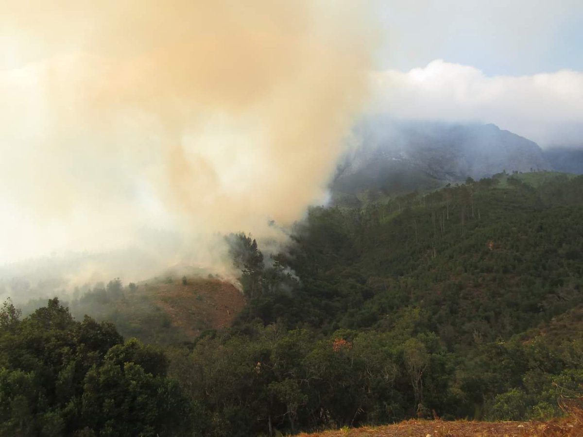 Current look at the #FranschhoekFire

📸 Cape Winelands DM